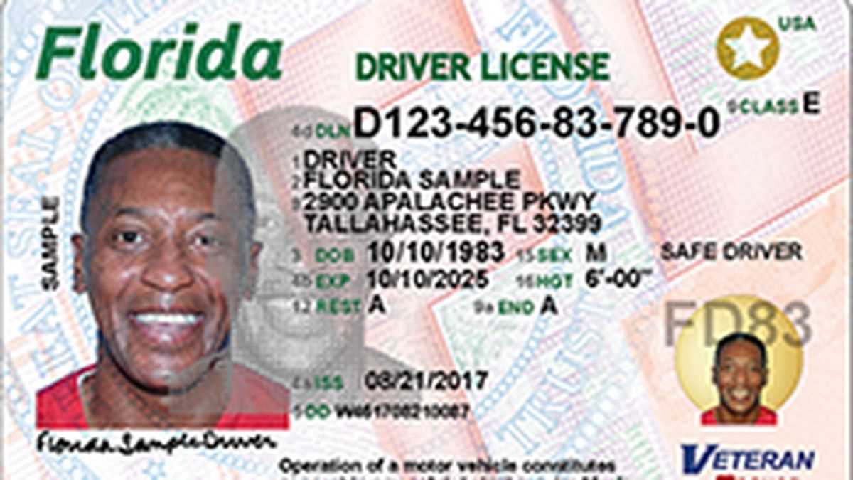 Florida-drivers-license-exam-questions-and-answers florida-drivers-license-exam-questions-and-answers
