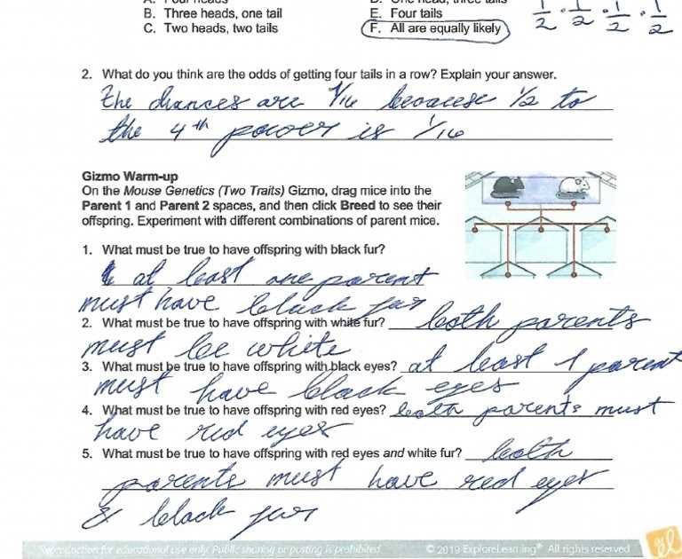 Exploring Stoichiometry with Gizmo Answers