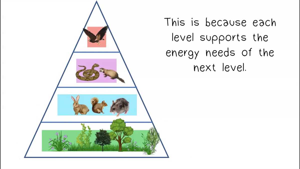 Understanding Ecology: Answers to Section 18-1 Worksheet