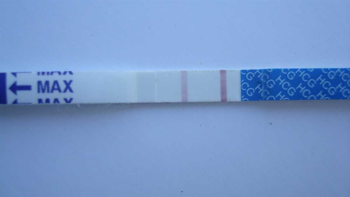 4. Conduct the Testing