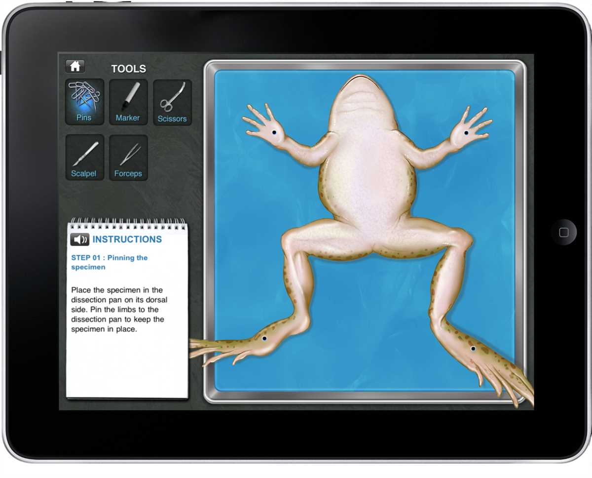 Enhancing Learning with the Frog Dissection Gizmo: Interactive Activities and Assessments