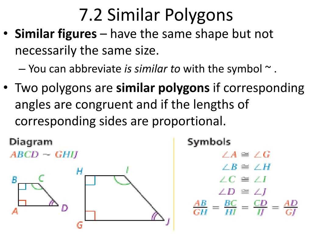 7 2 skills practice similar polygons answers with work