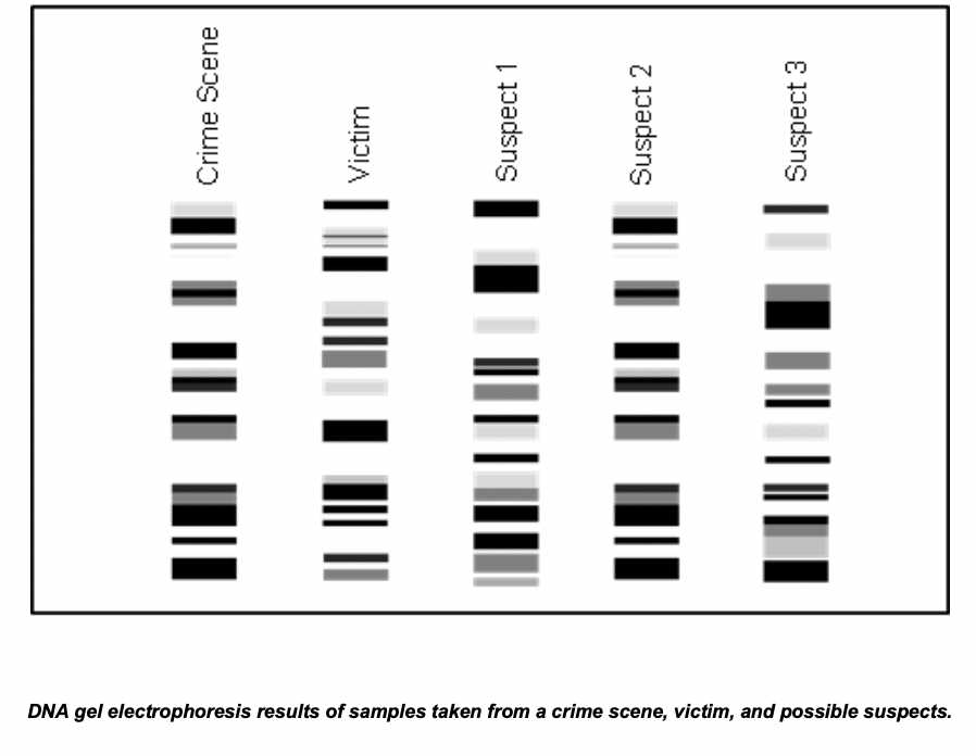 Forensic analysis: