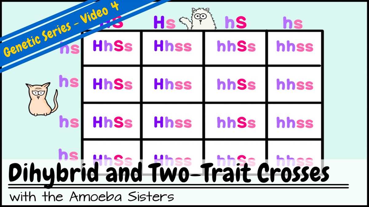 Genetic Crosses That Involve 2 Traits Answer Key