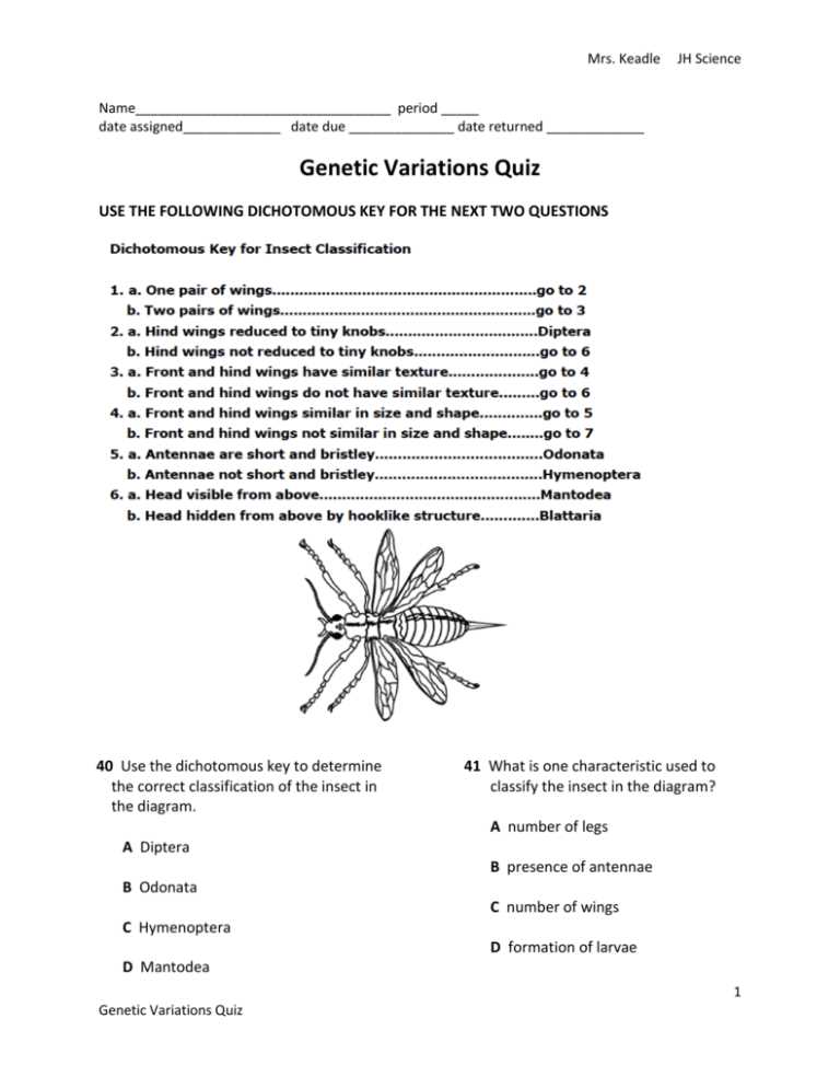 Genetic Variation Worksheet Answer Key