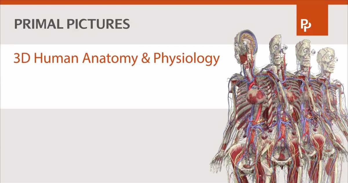 Anatomy and Physiology Exam 1 Answers and Study Guide