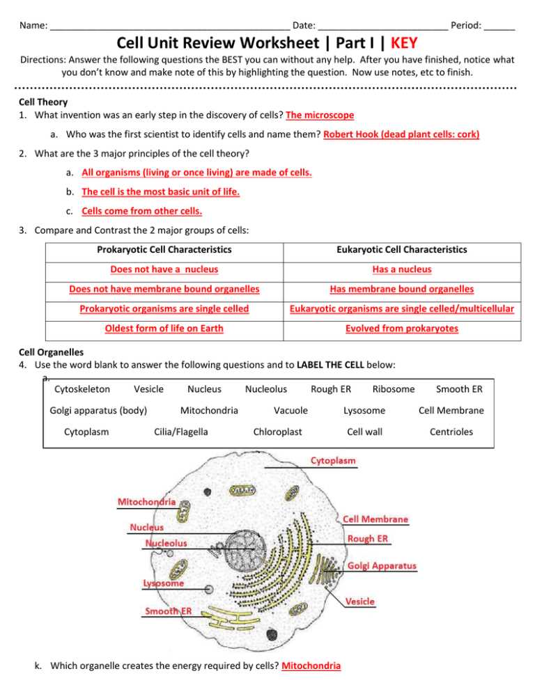 Cellular Processes and Energy Production