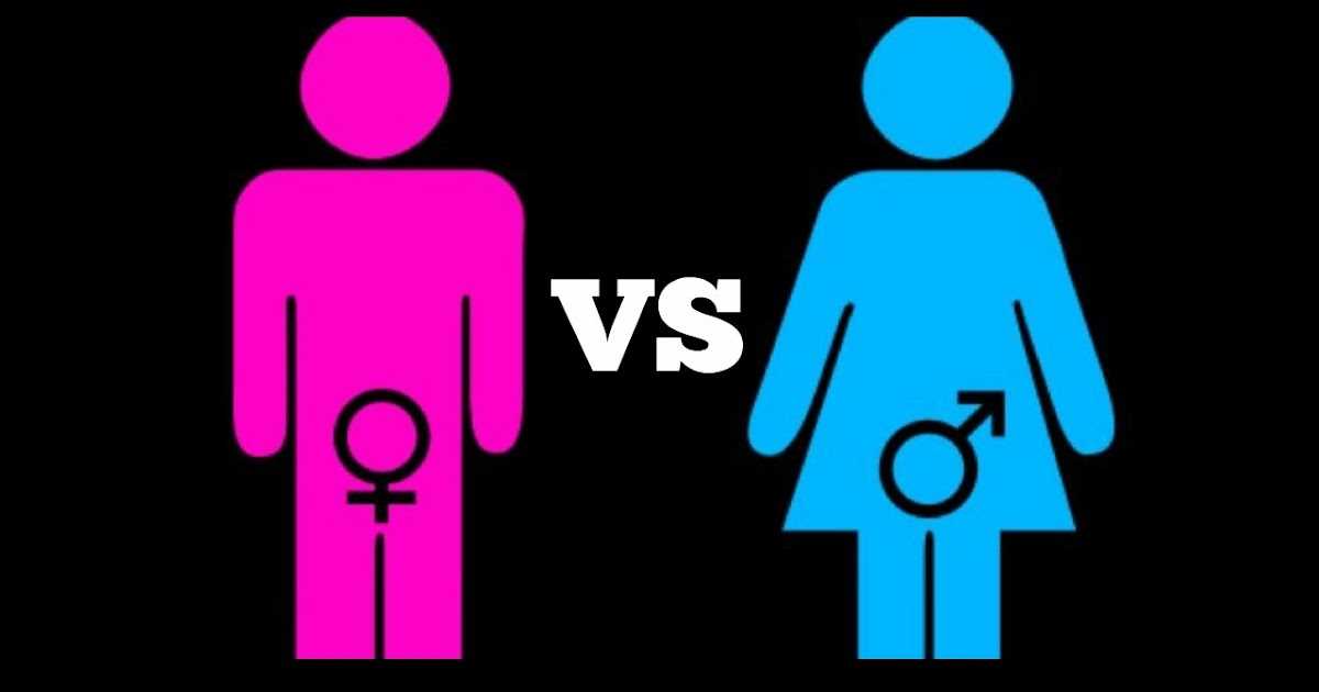 Gender of Nouns in French