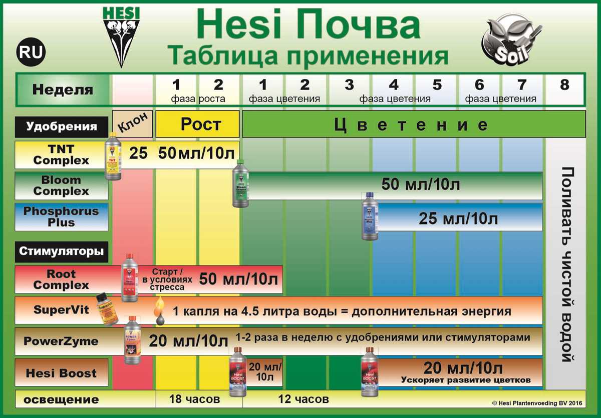 The Hesi Cat Examination - A Feline Assessment Like No Other Hesi cat exam