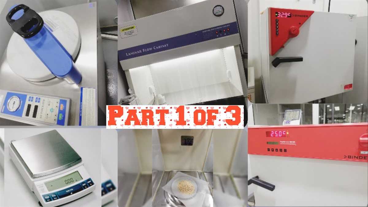 Tips for Success in Straighterline Microbiology Lab