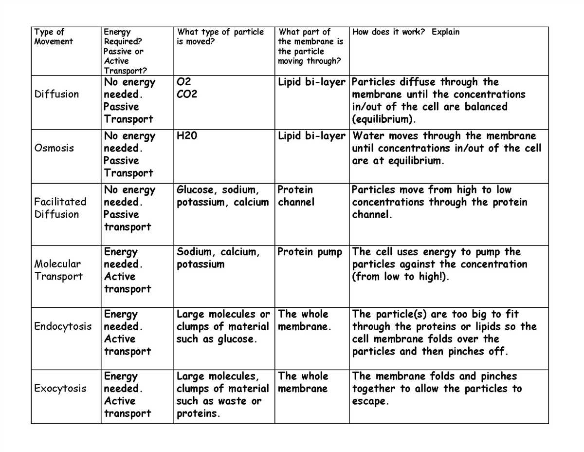 Cell structure review answer key