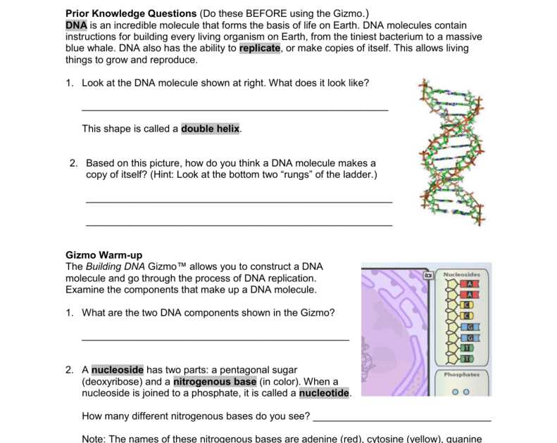 Understanding the Estimating Population Size Gizmo