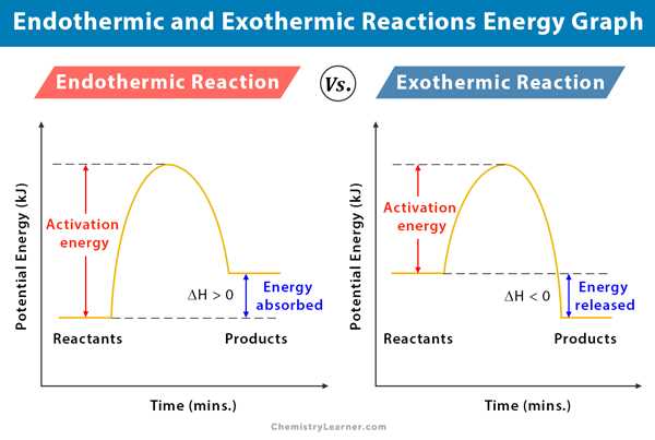 Comparing Exothermic and Endothermic Reactions - Unveiling the Worksheet Answers Exothermic vs endothermic worksheet answers