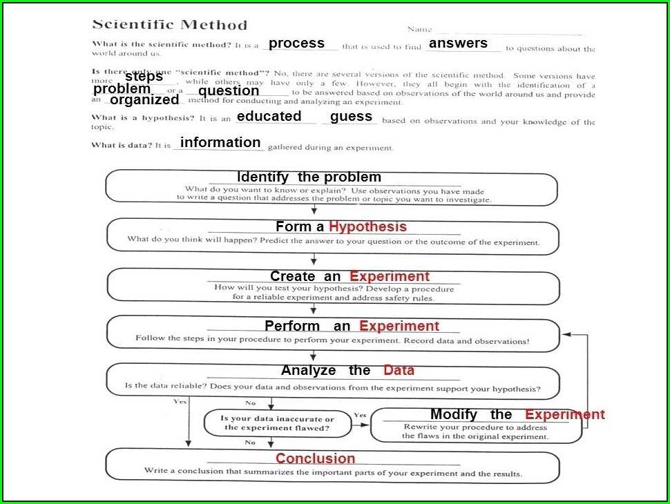 Worksheet (hoja de trabajo)