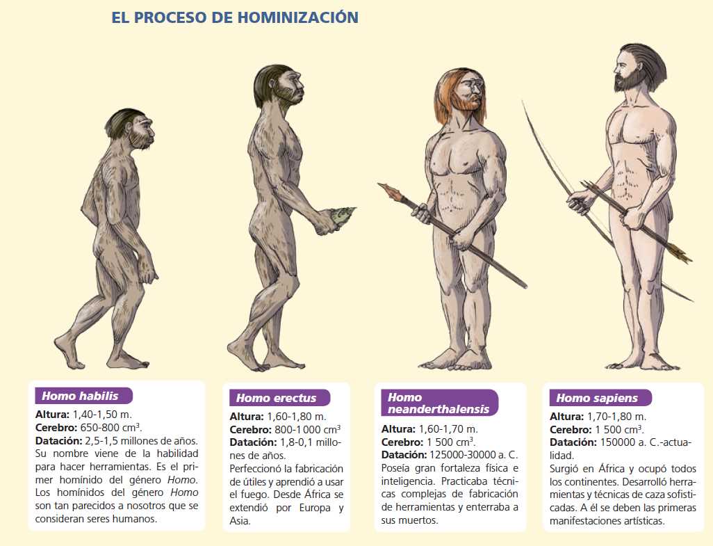 What is Anthropology?
