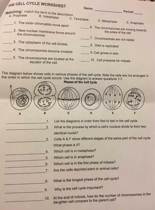 Maximizing Learning Potential with the Answer Key