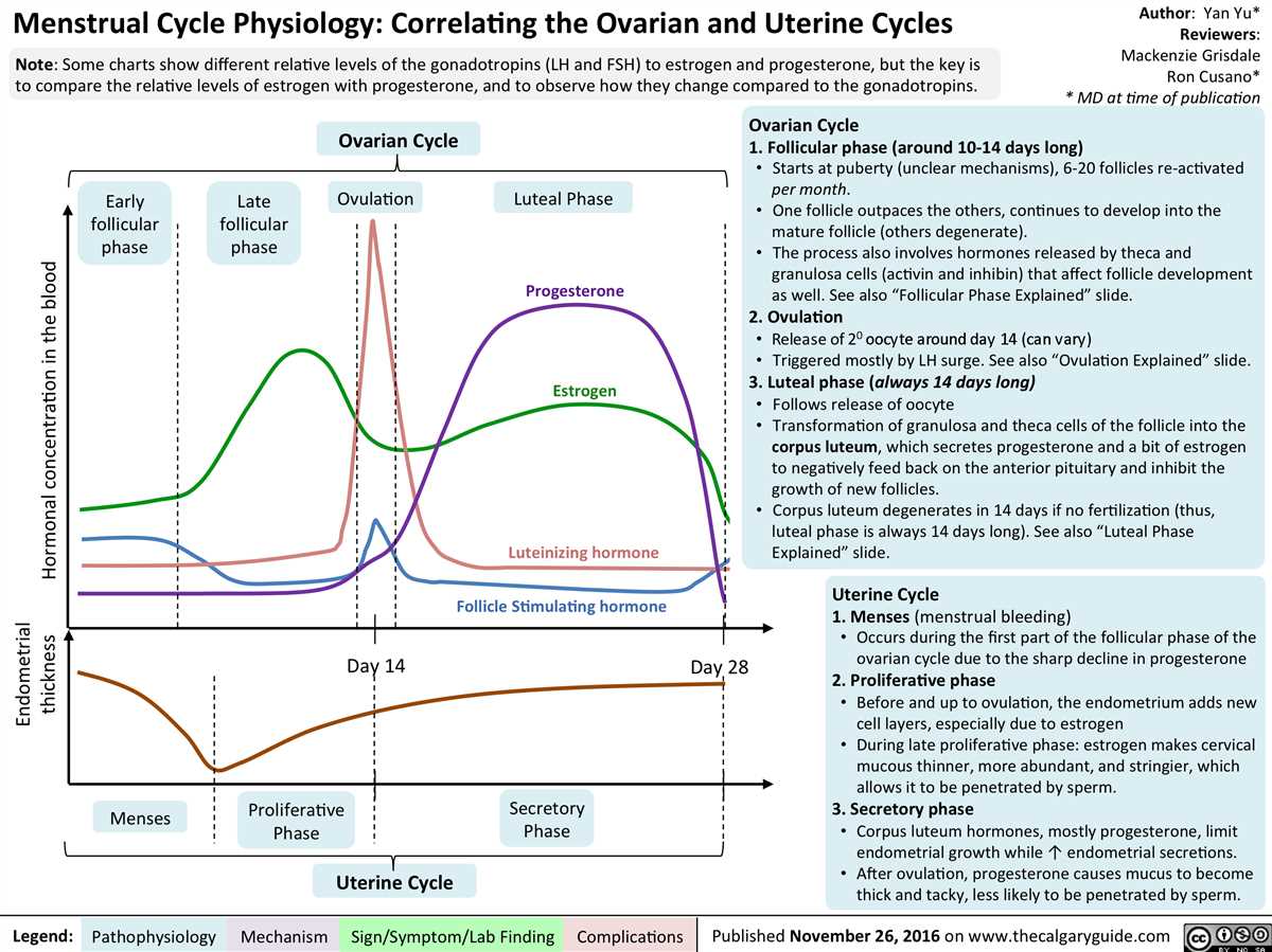 Menstrual Cycle Length and Irregularities
