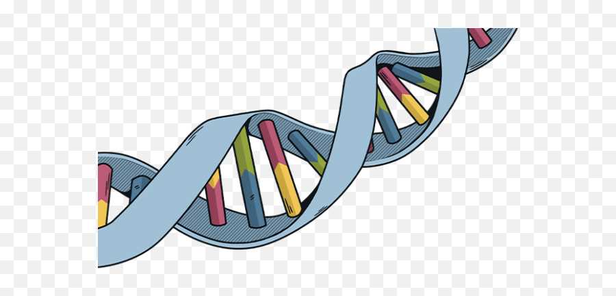 The correct answers to Sc.912.l.18.11 biology