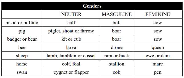 The Gender Dilemma - Is Is examen masculine or feminine