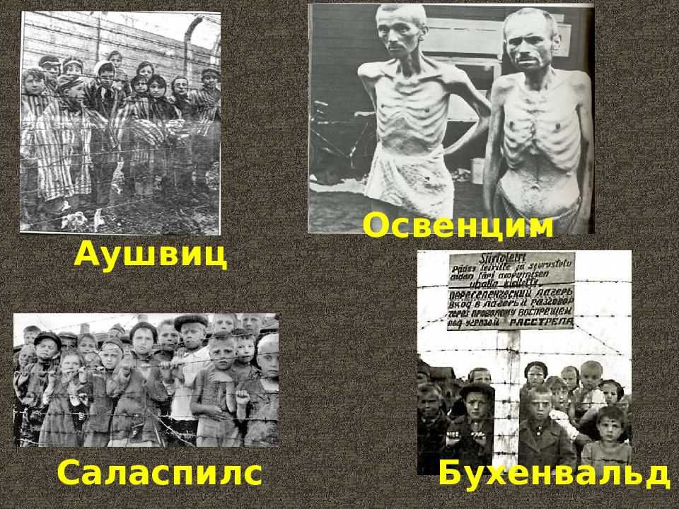 Auschwitz Concentration Camp