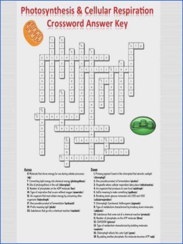 The 13 Colonies Crossword Puzzle Answer Key