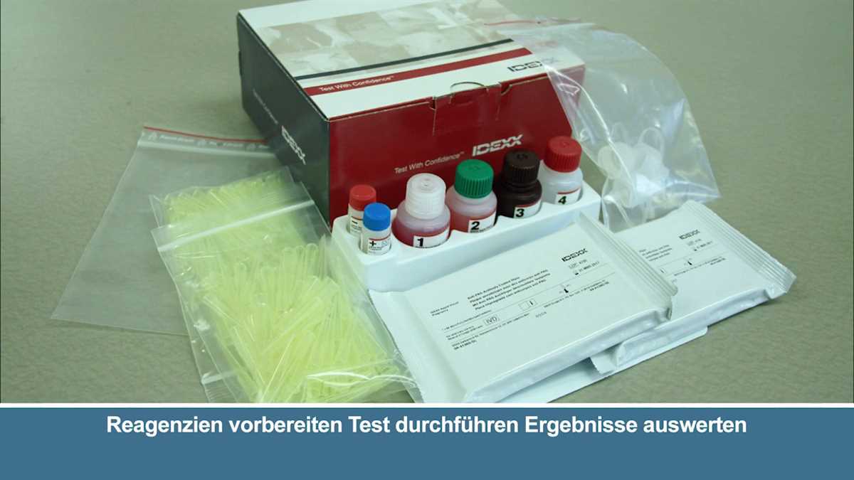 Phenobarbital blood test dog idexx