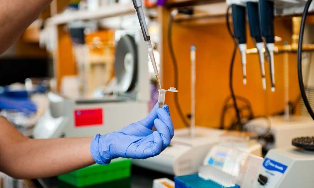 Why Should You Use Straighterline for Microbiology Lab?
