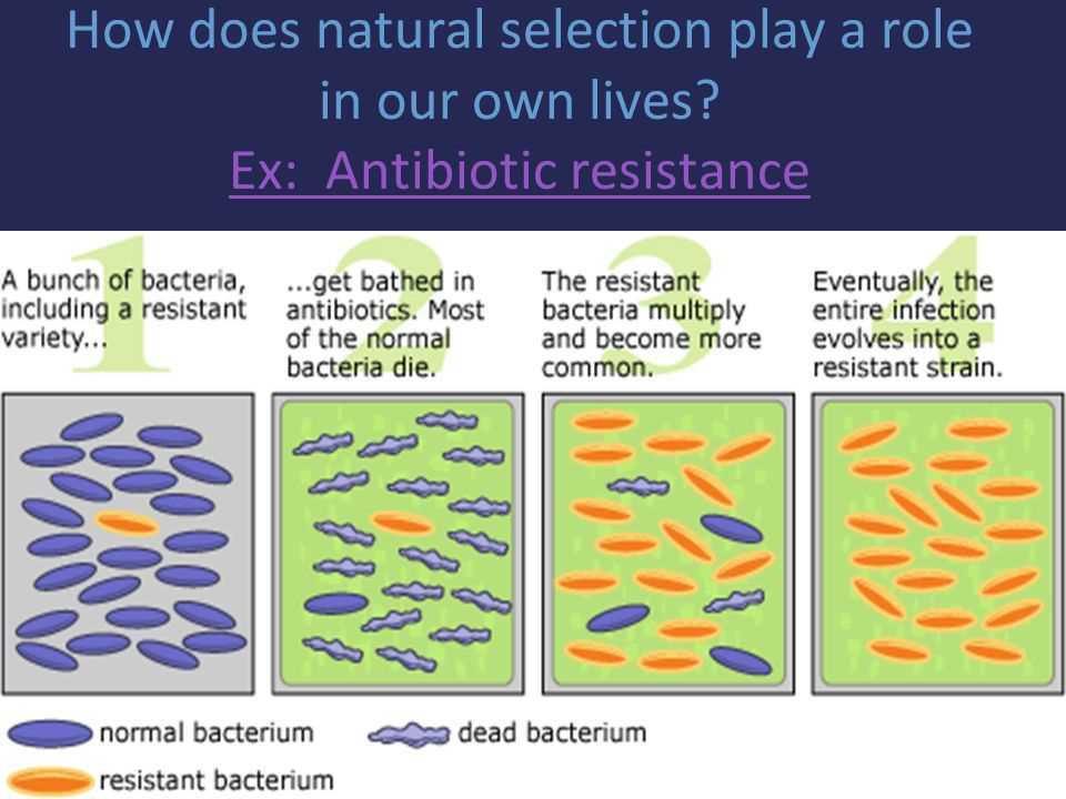 Controlling environmental factors