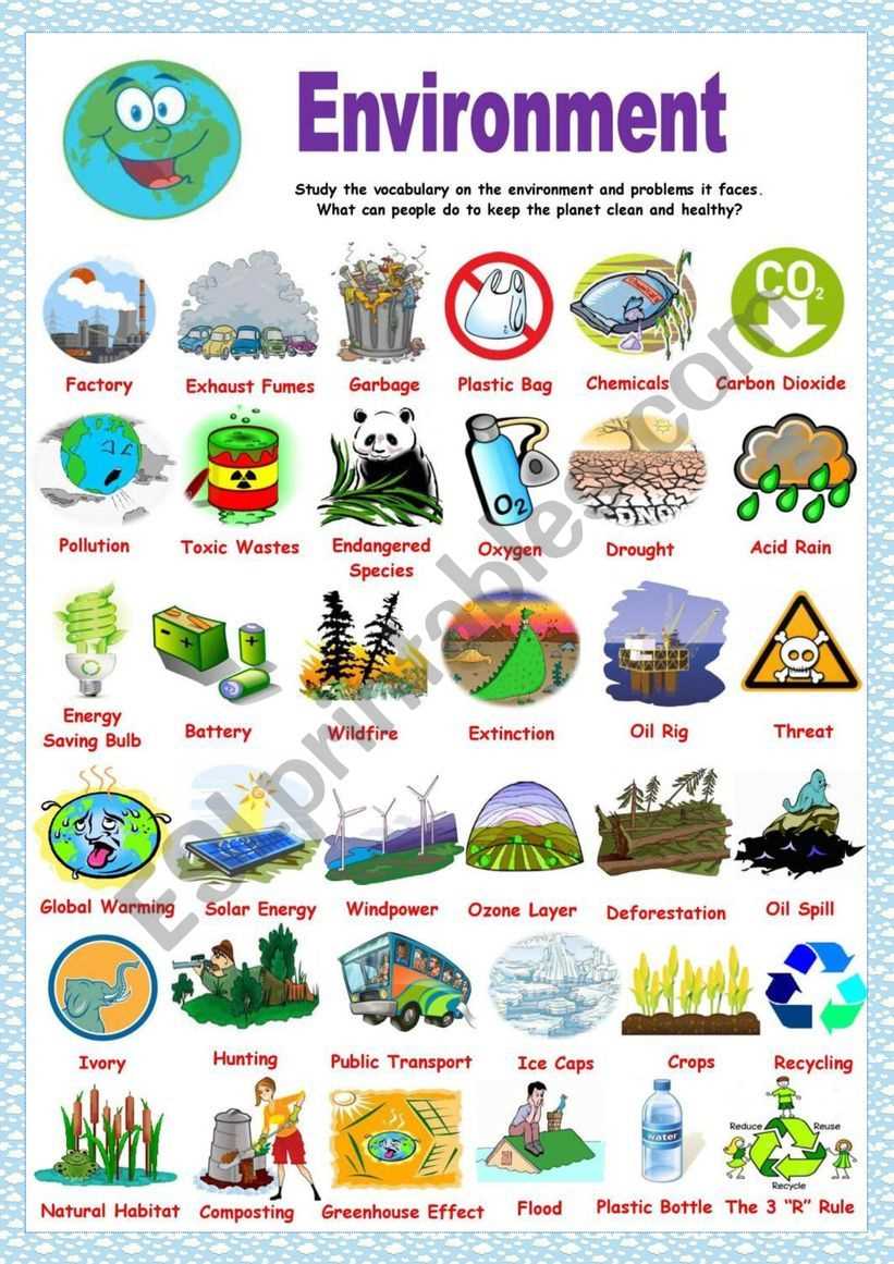 Exploring Ecological Relationships