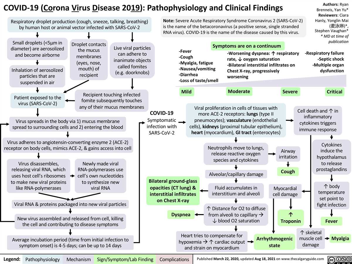 Understanding the Causes of Disease
