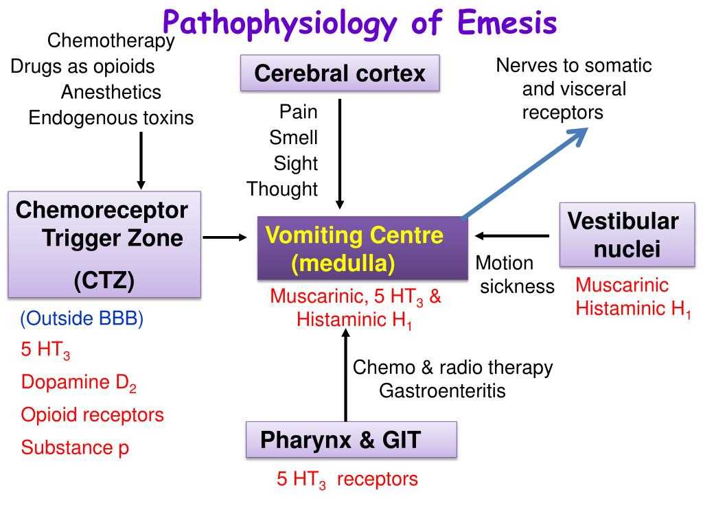 Understanding the Pathophysiology of Chamberlain's Exam 1 Pathophysiology exam 1 chamberlain