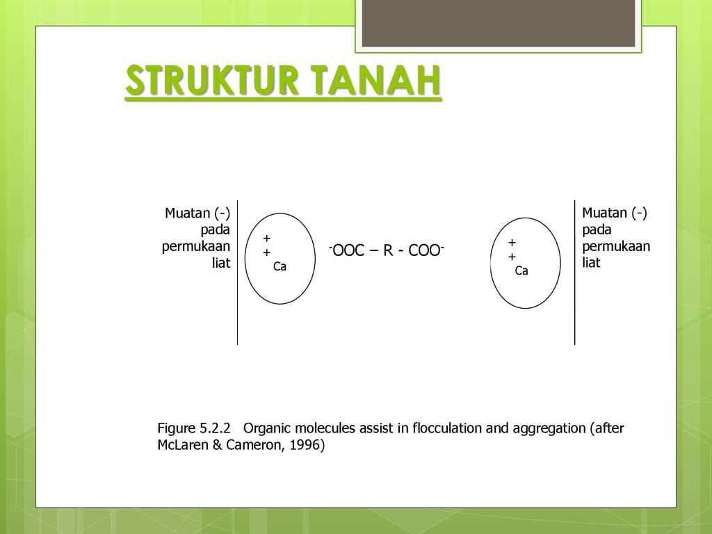 The Importance of Pattern Matching in Organic Chemistry