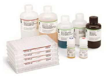 Benefits of IDexx Phenobarbital Blood Test for Dogs