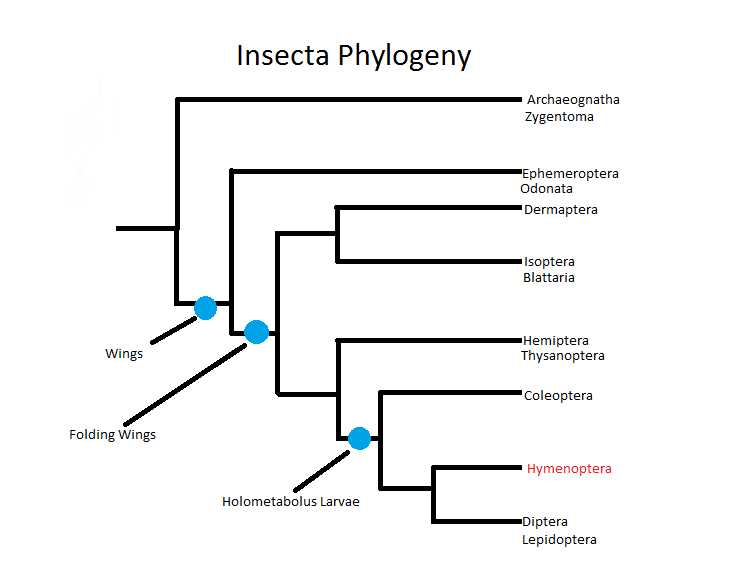 1. The Evolutionary Relationships of Birds