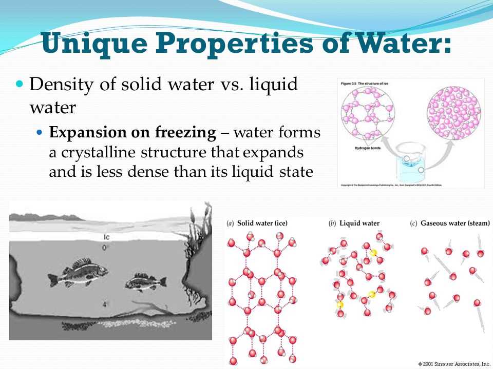 Hydrogen Bonding and Its Effects on Water