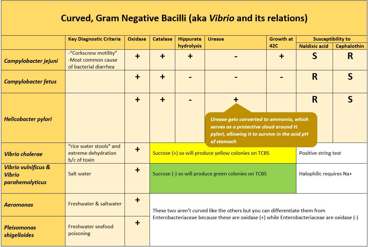 Portage Learning's Module 1 Microbiology Exam - Mastering the Basics of Microscopic Organisms Portage learning microbiology module 1 exam