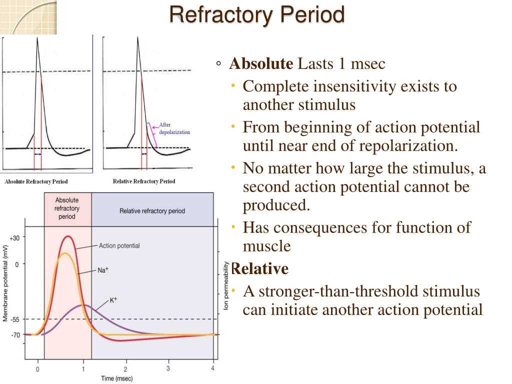 Measuring Action Potential in Different Organisms