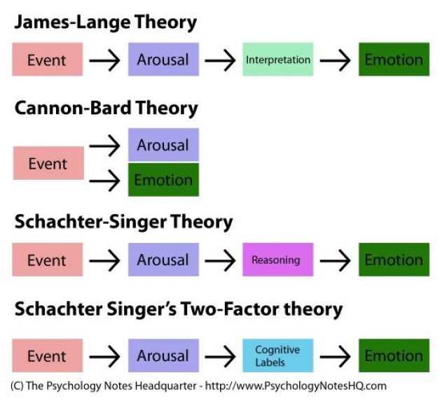 Understanding Personality Theories