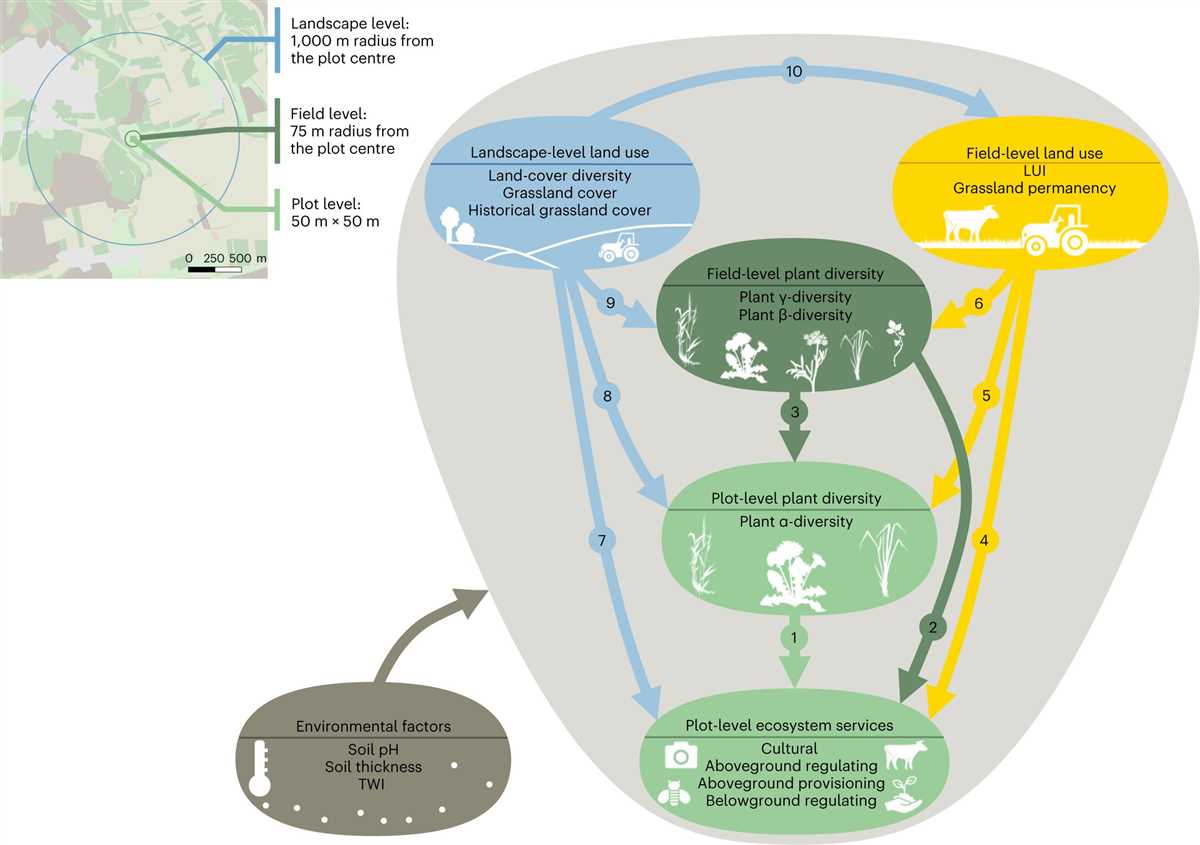 Exploring the Role of Keystone Species