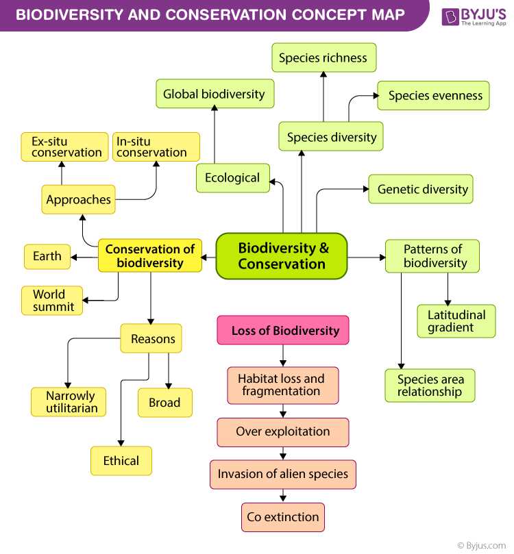 Implications of Biodiversity Loss