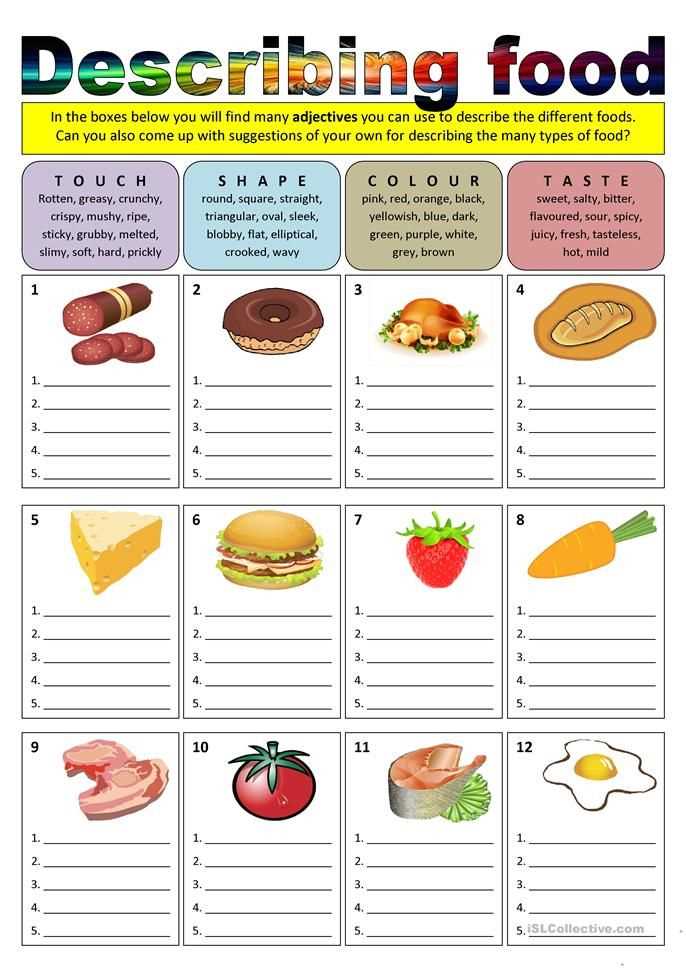 Common Questions in the Food for the Ancestors Worksheet