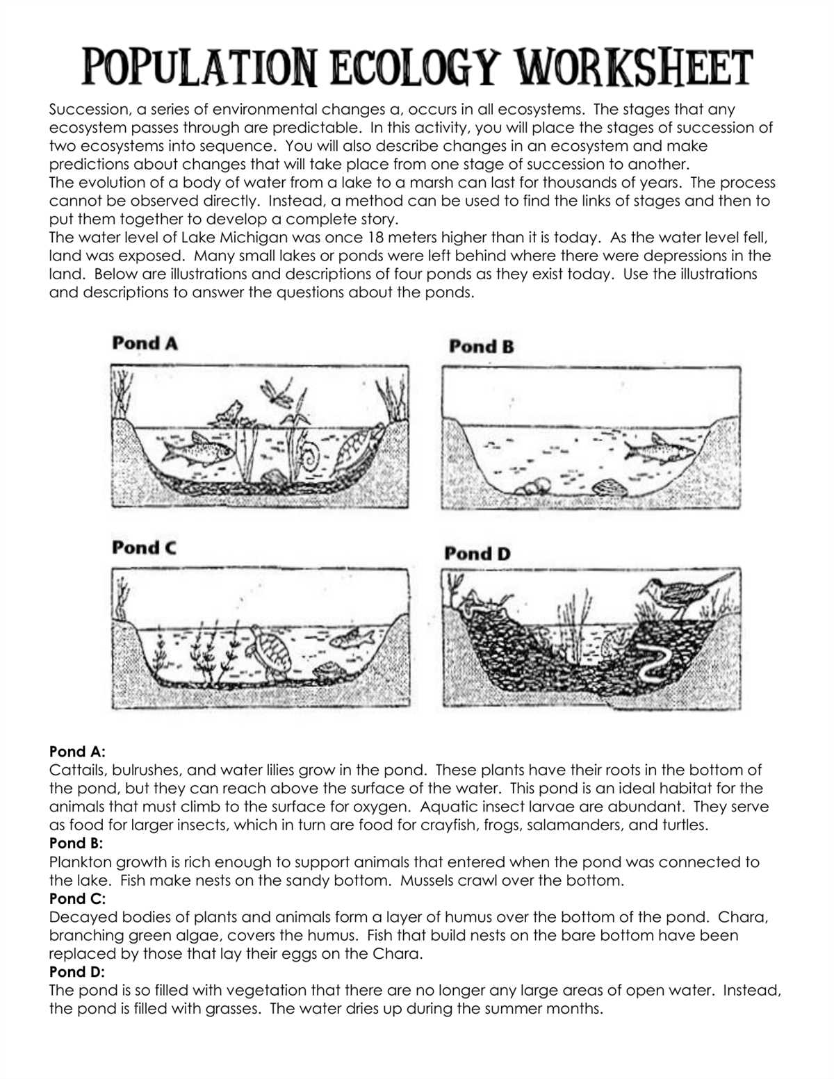 Overall, understanding ecology involves grasping the levels of organization in the natural world, the various interactions among organisms, the flow of energy through ecosystems, and the process of ecological succession. These concepts are essential for comprehending the complex and interconnected nature of the living world.