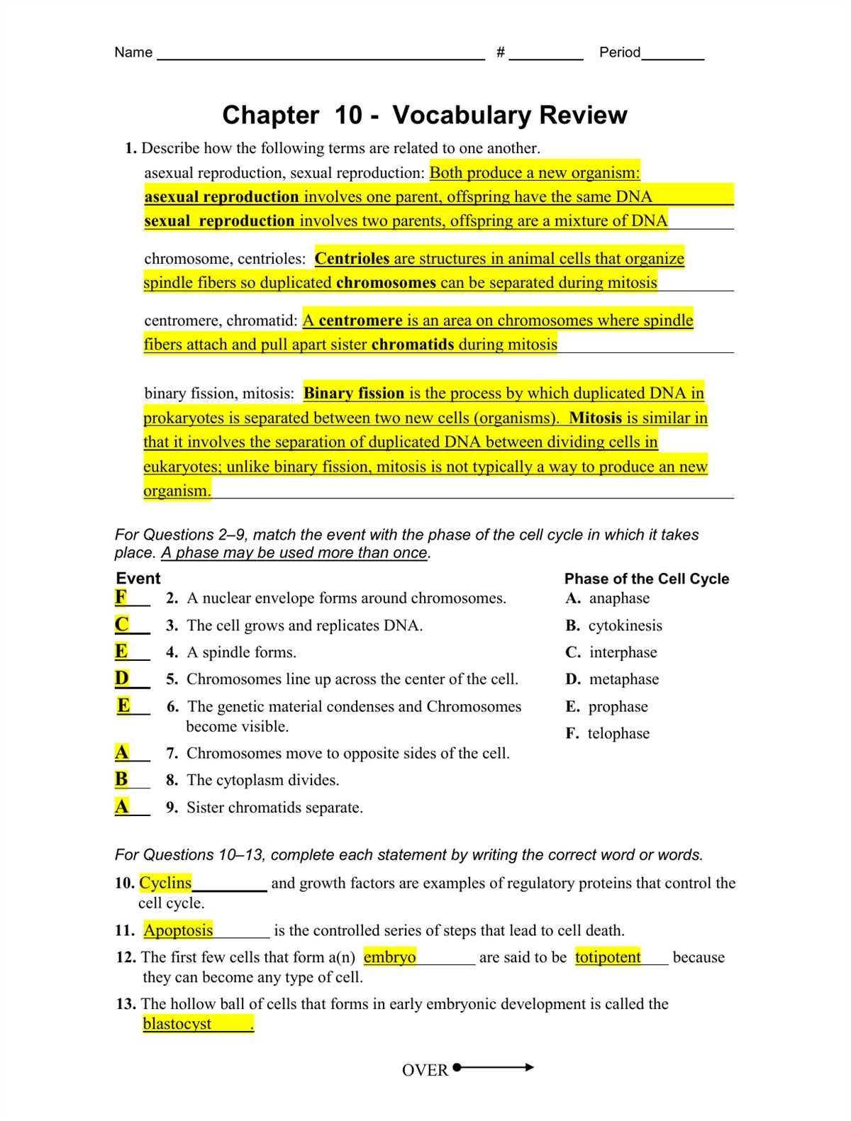 Reviewing Section 8.2: Answer Key for Cell Division