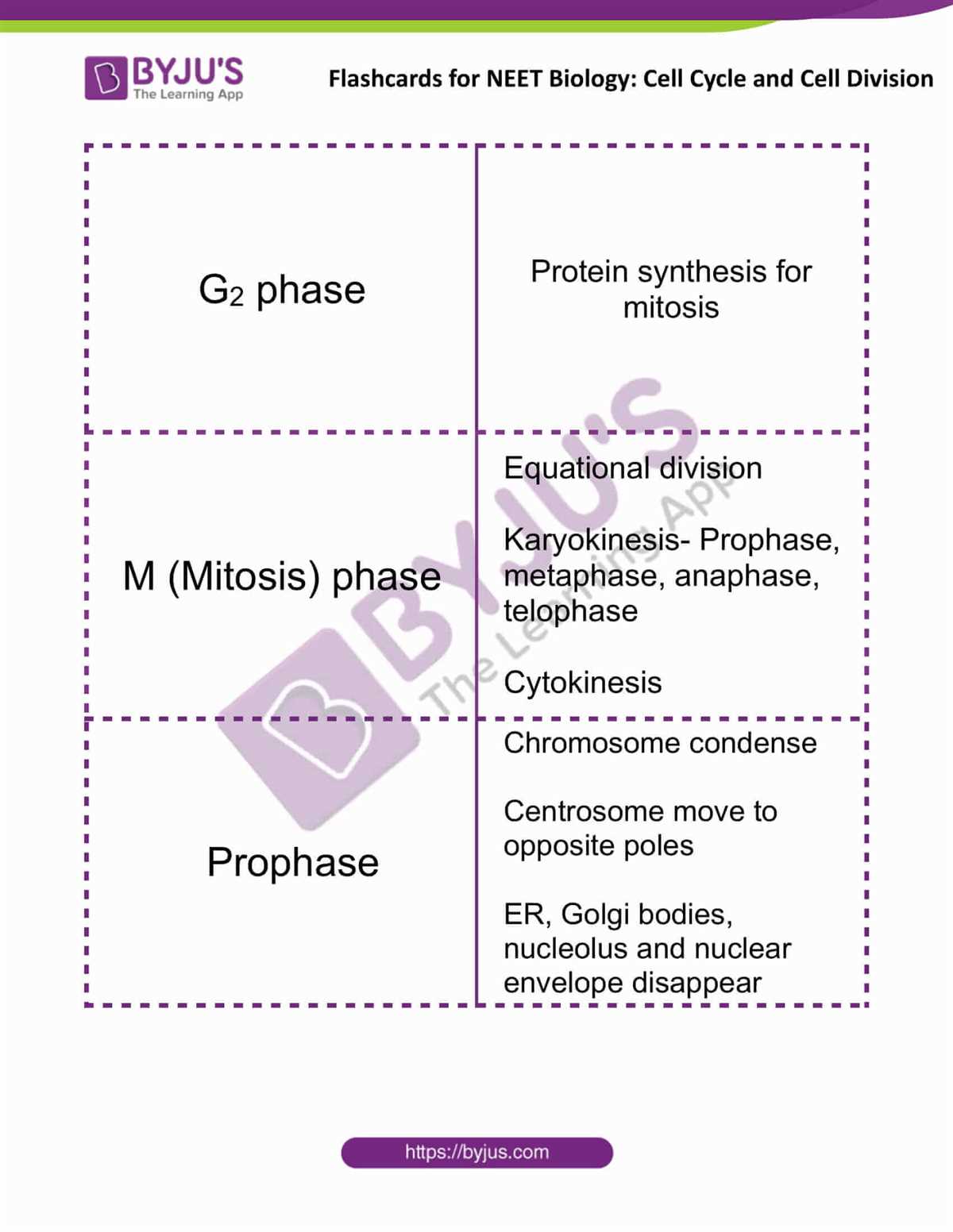 Importance of Studying Cell Division