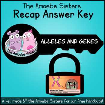 The Process of DNA Replication and Mutation Occurrence