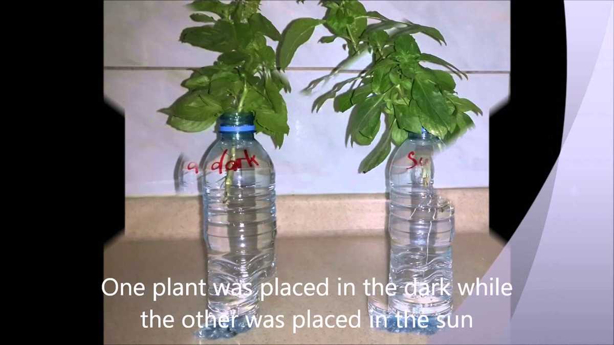 Benefits of Using a Soil Lab Answer Key