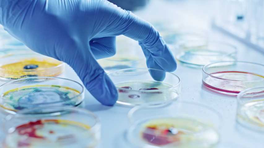 Common Challenges in Straighterline Microbiology Lab