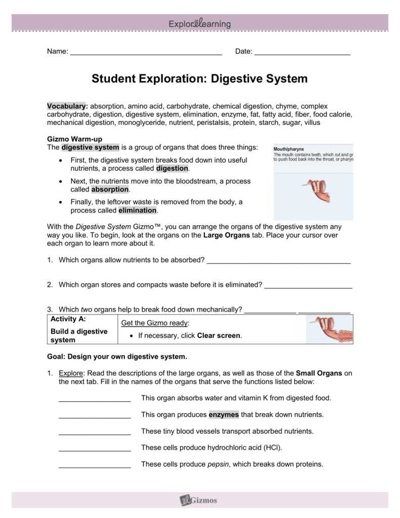 What are Isotopes
