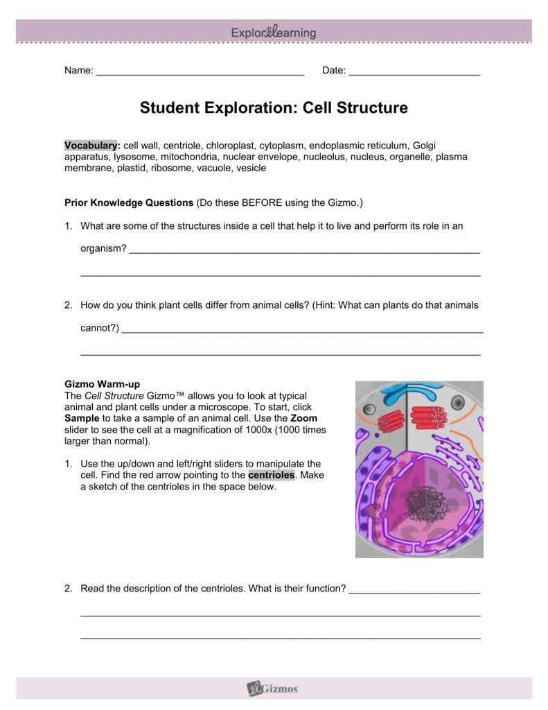 The Educational Benefits of Frog Dissection