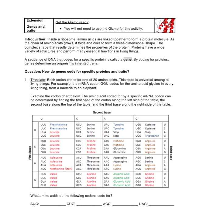 Activity A: Exploring Stoichiometry